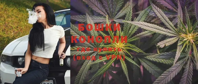 Каннабис SATIVA & INDICA  Ветлуга 